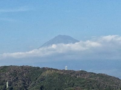 pinksun409's profile picture. pinksun409