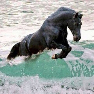 bettslp's profile picture. 