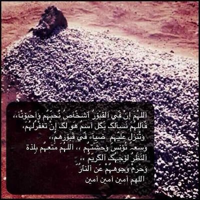 ta86309635's profile picture. 