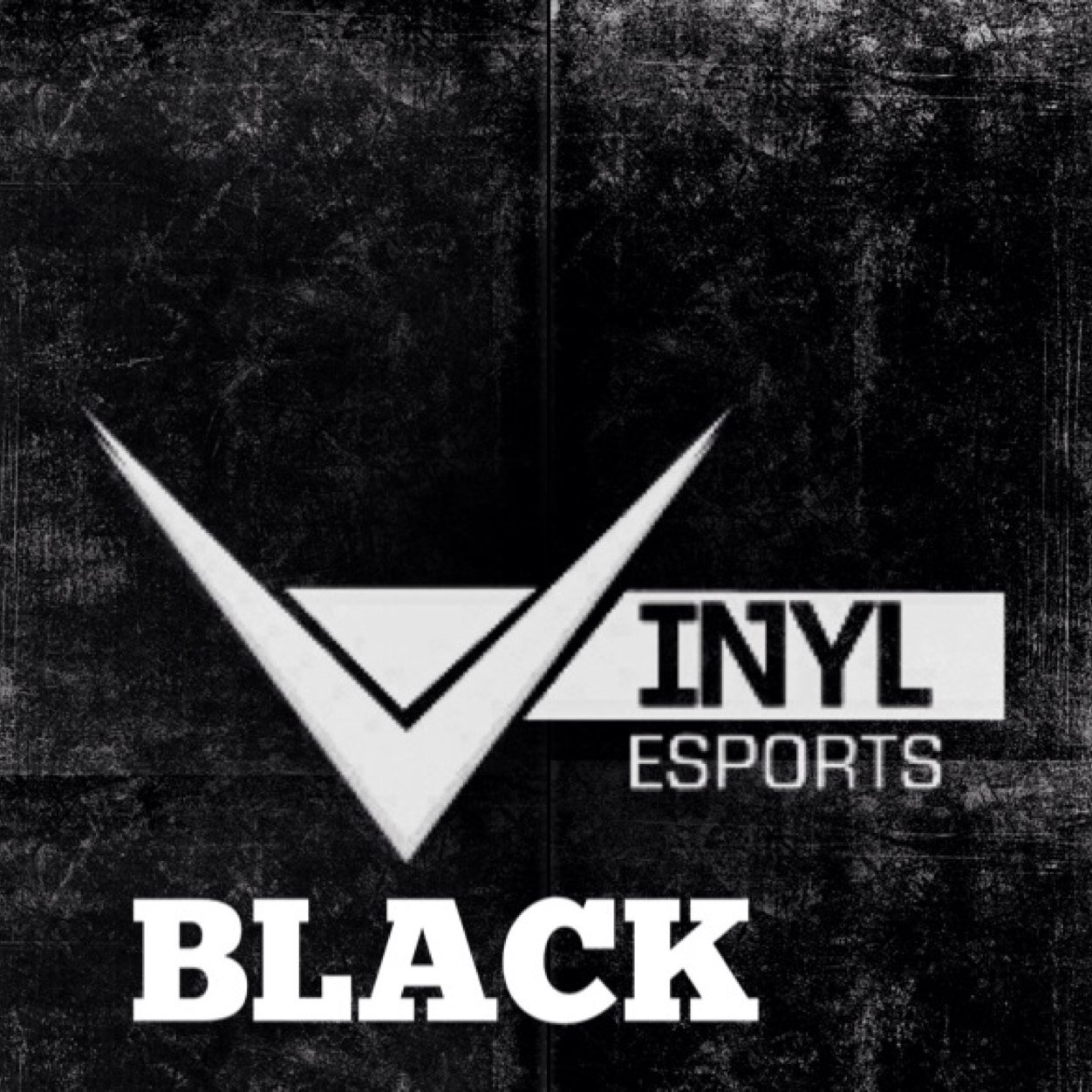 Premier eSports Team for @VinylEsports Sponsored By: @Swift_Customs @BattleBeaverC Cpt. @Rexuhl