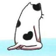 motiduki31's profile picture. 乙倉悠貴担当P、最近は由愛ちゃんも気になるきょうこのごろ
基本ROM専です