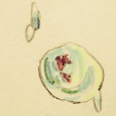 ろ み を