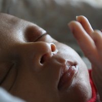 Joe Granados (@joe2pop) 's Twitter Profile