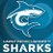 hpuwomenssoccer's profile image