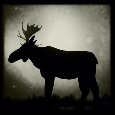 Calgary, AB based photographer with a passion for photographing people, pets and the city we live in!