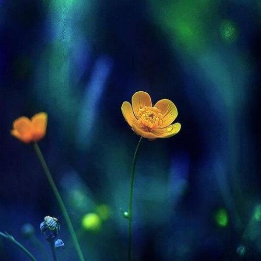 cai_huiru's profile picture. 