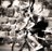 robusa82's profile image