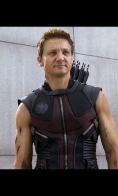 My name is Clinton Barton I am a S.H.I.E.L.D. agent and a very skilled archer Loki's best beware.