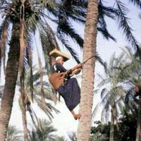 Ali daawood (@alidaawood) Twitter profile photo