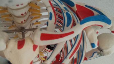 MassageBalans's profile picture. AnneMarleen-Fysiotherapeut-Sportief-Lezen-Fietsen-Wandelen-Muziek