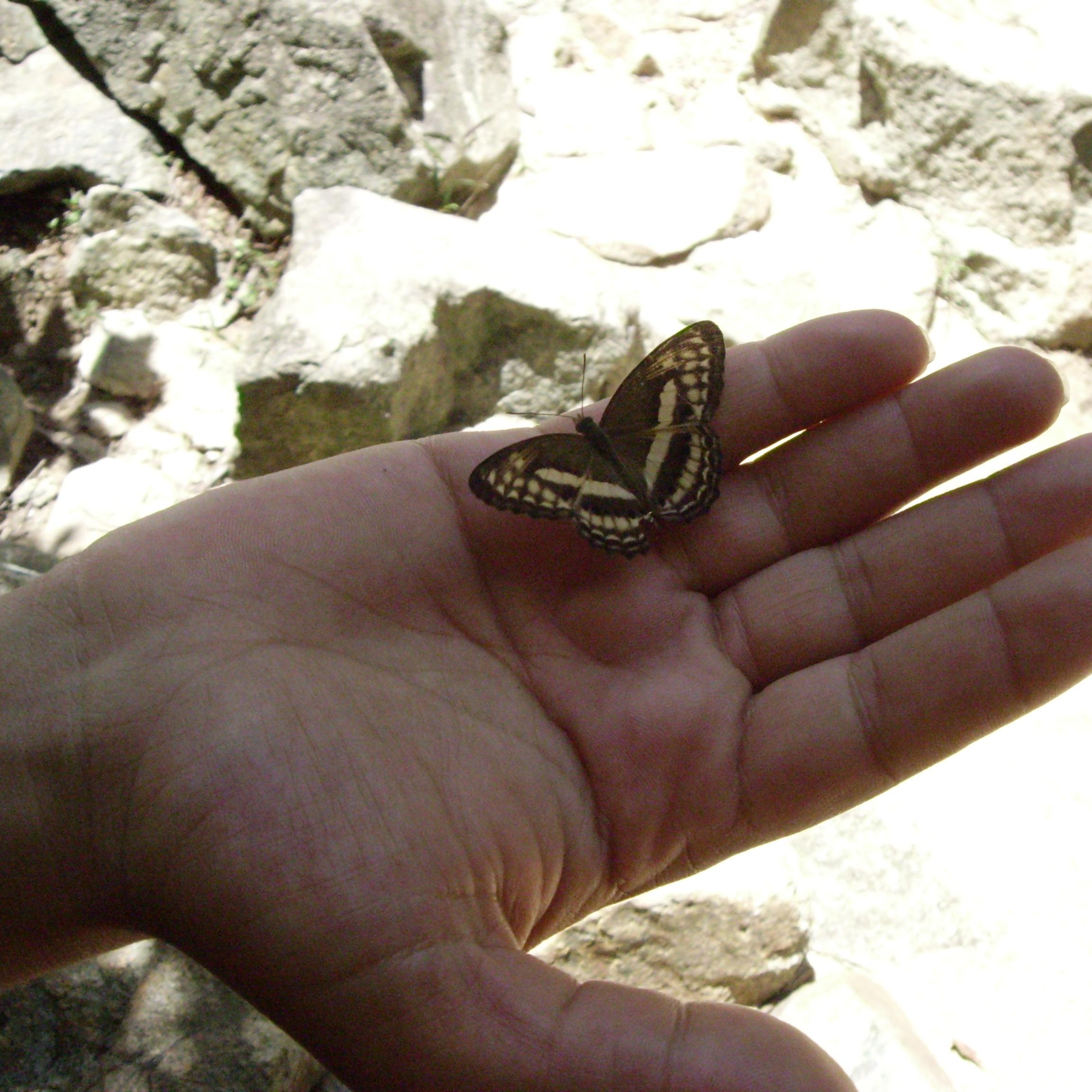 Angeliquedekt's profile picture. Guten Tag!

mein Name ist Angelique und ich schreibe weil es keinen Grund gibt es nicht zu tun!In meinem Blog geht es drunter und drüber ohne Sinn und Verstand