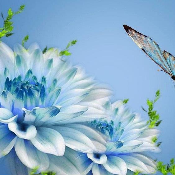 ghomrassen2010's profile picture. 