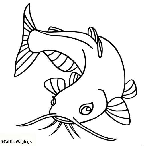 Submit your catfish saying on kik: catfishsayings *parody*