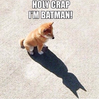 DirtyMudRunner's profile picture. Home of the OCR legion. Everything on global MudRunners. From small obstacle runs in the harbours of Rotterdam and the major Spartan Beast runs over the world