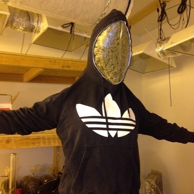 Stoner à temps pleins, je suis là pour vous montrer l'incroyable potentiel du tetrahydrocannabinol.