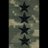 kyngkvsh's profile image