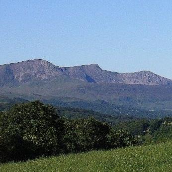 RobertBlinston's profile picture. Your life does not get better by chance, it gets better by change. 
http://t.co/dAAfsfAW