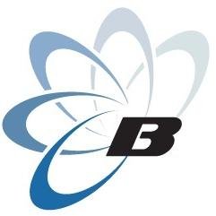 Blueserve Facilities Ltd - Electrical / Fire Detection / Security Systems / Maintenance Providing services to a high technical and quality standard.