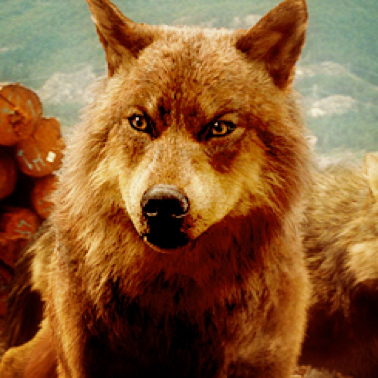 Im Mako a reddish mix with brown wolf, friendly though very protective. Mate is @AleuGrayWolf . Touch her and your dead! Shes mine!