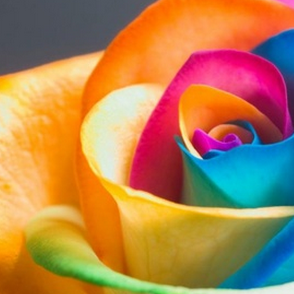 My_HD_Wallpaper's profile picture. 