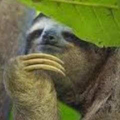 DsYujoon Profile Picture