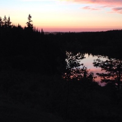 cathiemacintosh's profile picture. 