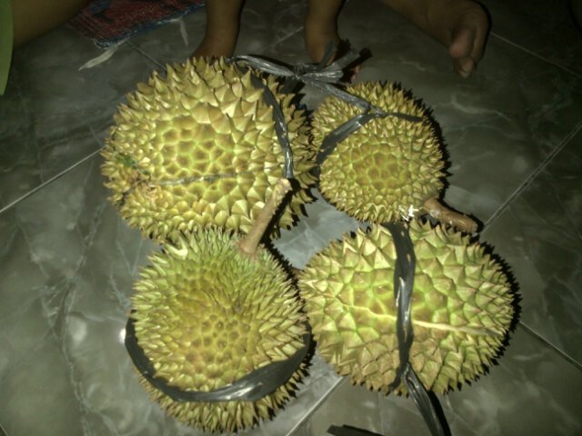 Hidup tenang, aman dan damai