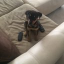 Joshua  Karn - @karn_joshua - Twitter