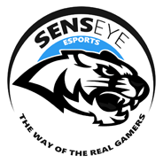 Senseye esports