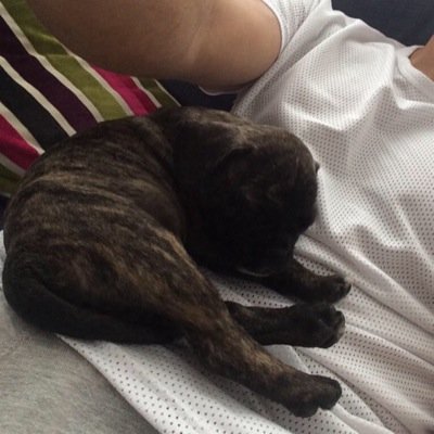 Hi my name is Frank and Max George is my uncle