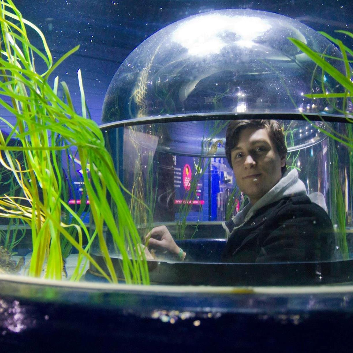 Office worker / Part time Submarine Captain. I will burn radio 2 to the ground.