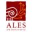 ALES_SpA's profile image