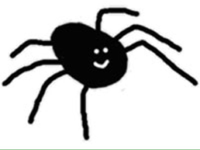 MASSIVE SPIDER. WHUT