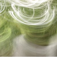 rachel levy (@levylevy65) 's Twitter Profile