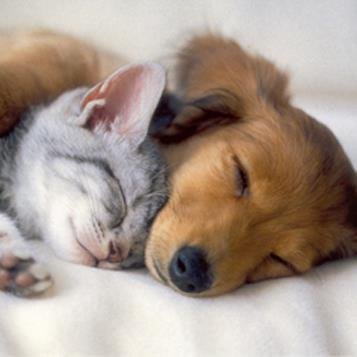 moki122's profile picture. 