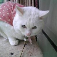 da___i3 (@motohashidai) Twitter profile photo