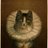 GeraldineKitch's profile image