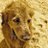 calvinandsusie's profile image