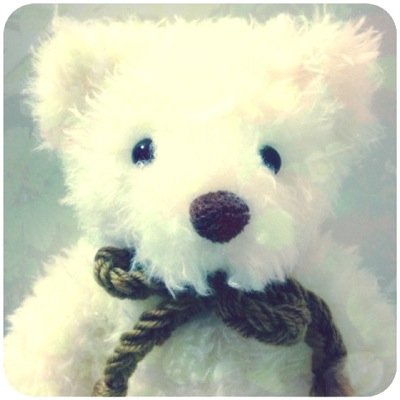 zqbe's profile picture. おいしいごはんとおふとんが好きです / Film camera, contax aria / ppGQ