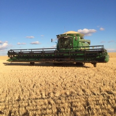 Sth vic mallee farmer. Married. Cereal,canola,legumes and sheep