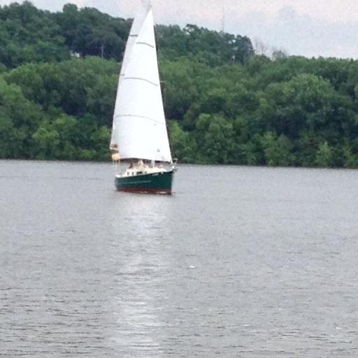 PGASiggy's profile picture. 