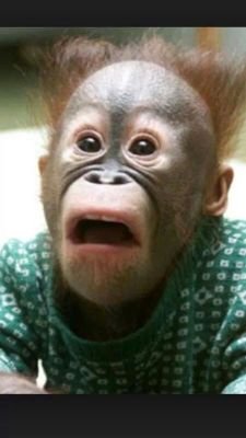 rism030's profile picture. 