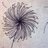 anna_beth_folk's profile image
