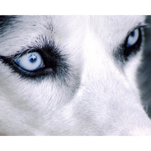 lorenvdaa's profile picture. The person you'd take a bullet for is behind the trigger...