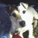 Eugene Bartlett - @Drdolitle1 - Twitter