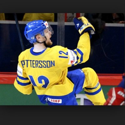 Professional Hockey Player From Sweden Gothenburg. Zürich Lions NLA