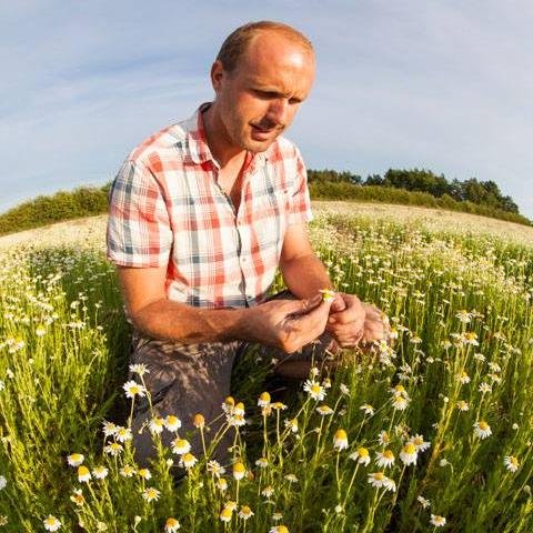 Growers & distillers of certified organic Chamomile & Lavender essential oils.