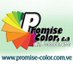 Twitter Profile image of @PromiseColor_