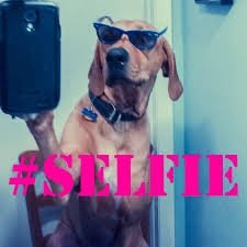 Selfies all day all night baby