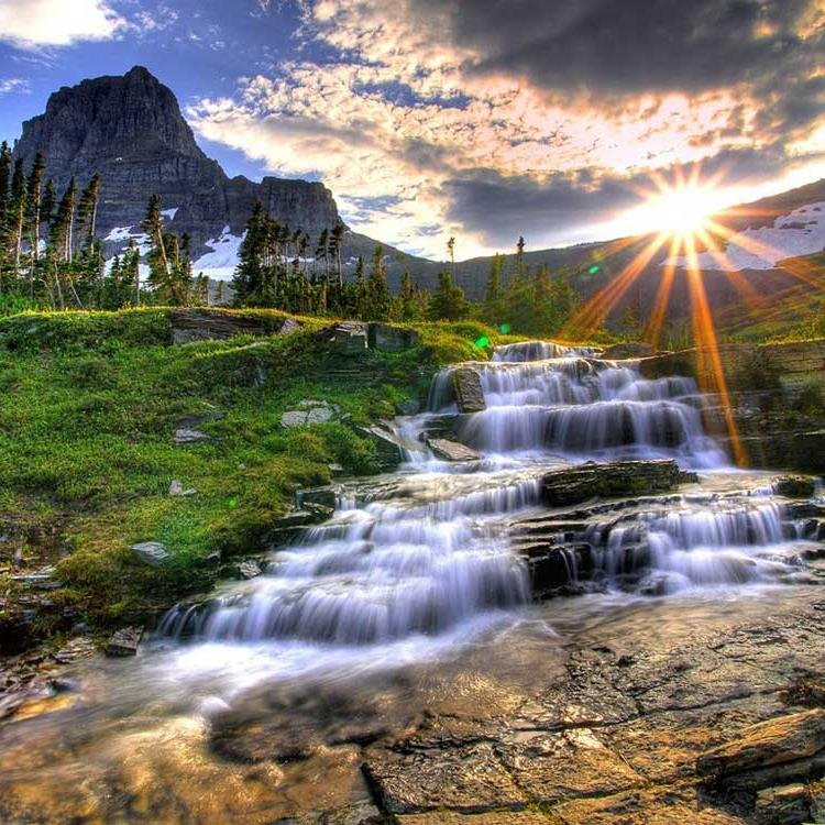 LoliPerola's profile picture. 